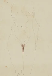 Női akt torzó (toll és tinta papíron)