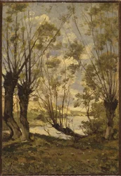 Fűzfa a Loire partján, 1893