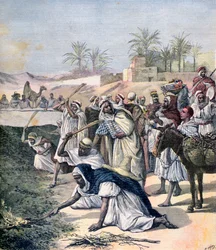 A sáskajárvány, Algéria, 1891