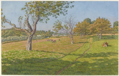 Mezők Auffay-nál