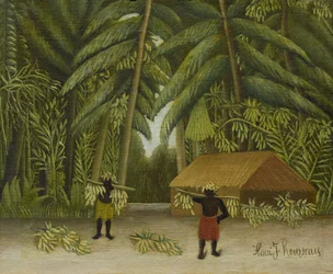 Banánszüret, 1907-10
