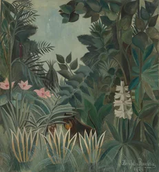 Az egyenlítői dzsungel, 1909