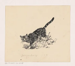Kat