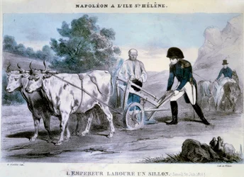 I. Napóleon (1769-1821) Szent Ilona: a császár barázdát szánt (1816.06.30.) Gazember litográfiája. 1816 Ile d