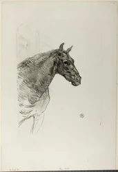 Póni Philibert