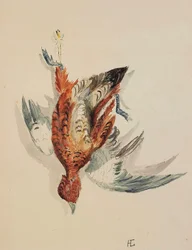 Vörös folyó, 1877-80 körül