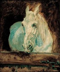 A fehér ló "Gazella", 1881