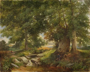 Pisztráng-patak Worcester közelében, 1866