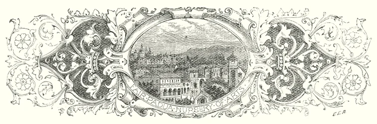 Padova (metszet)