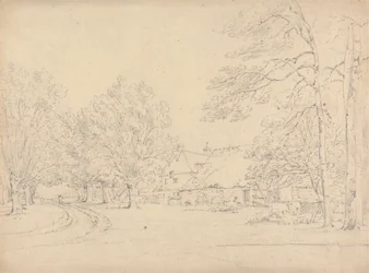 A farm