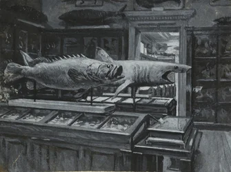 A British Museum belső képe a halkiállítások galériájával, 1880 körül (mosás és testszín papíron)
