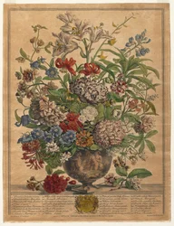 A virágzás tizenkét hónapja: 1730. július.