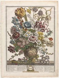 A virágzás tizenkét hónapja: 1730. március.