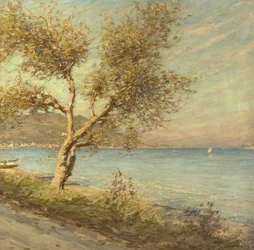 Az eperfa