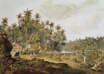 Kilátás a Point du Galle közelében, Ceylonban, vésette Daniel Havell (1785-1826), megjelent 1809-ben