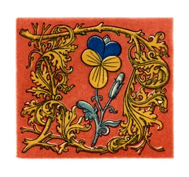 Kezdő D betű, a XV. század második fele, 1843.
