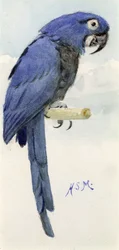 Jácint ara, 1890 körül