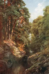 A Wooded Gorge, Killin, Perthshire (színes litográfia)