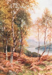 Nyírfák Loch Achray mellett, Perthshire (színes litográfia)