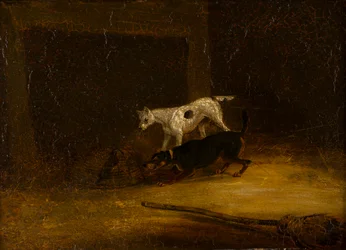 Két terrier megpróbál elkapni egy patkányt a csapdában, 1805-51 körül (olaj a panelen)