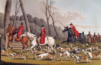 Vadászat: „A rókavadászat”. Henri Alken (1774-1850) angol litográfiája, 19. század, Párizs, B.N.