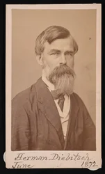 Herman Henry Diebitsch portréja 1818-1883, 1871.