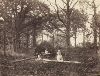 Táj, 1856.