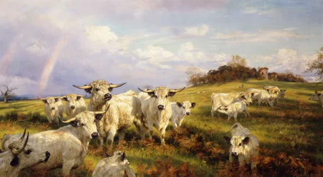 Chartley vadon élő szarvasmarha, Chartley kastélyon túl, 1902