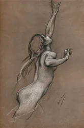 Repülőhal-tanulmány, 1910 körül
