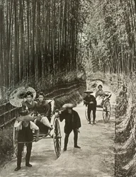 Egy Bamboo Avenue Kiotóban, 1910.