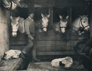 Oates kapitány, a Terra Nován a szibériai pónikkal, c1911, 1914.