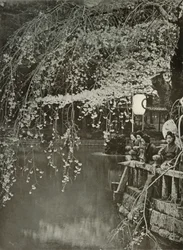 Cseresznyevirágzás ideje Japánban, 1910.
