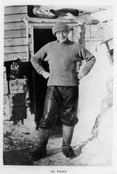 Wilson doktor, 1911