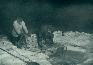 Dr. Atkinson és Clissold felvonva a halcsapdát, 1911. május 28., 1913.