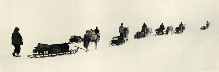 Pónik az 1911-es, 1913-as márciuson