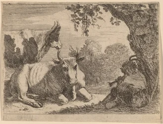 Tehenek