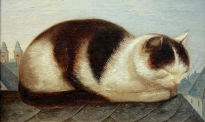 macska