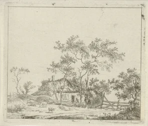 Farm négy birkával