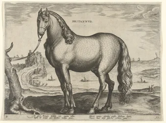 Ló Bretagne-ból (Brittanus) Britannvs (cím az objektumon) Lófajták az osztrák Don Juan királyi istállójából (sorozat címe) Equile Ioannis Austriaci Caroli (sorozat címe)