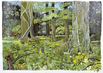 Behind the Squires, Devon (akril papíron)