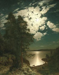 Holdfényes éjszaka