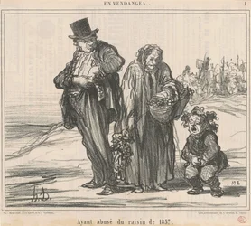 Visszaélve az 1857-es szőlővel