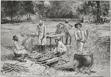 Déli barbecue, illusztráció a „Harper