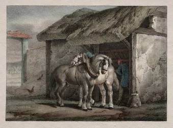 Farm Horse.