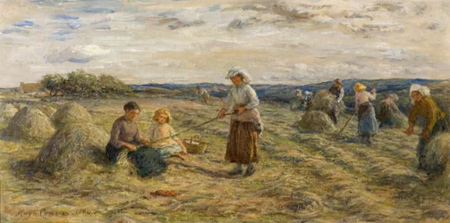 Széna kaszálása