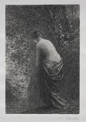 Fürdős állva, 1879.