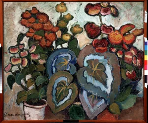 Begónia. Peinture de Ilja Ivanovics Mashkov (Ilja Machkov, Matchkov) (1881-1944), huile sir toile