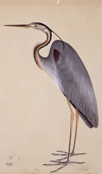 Egy gém, c. 1820
