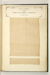 Dungary Cloth, Salem, Madras, The Collection of the Collection of the Textile Manufacturers of India, John Forbes Watson, 1866-ban megjelent