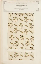 Hímzett muszlinminta Madrasból, az Indiai Textilgyártók Gyűjteményéből, John Forbes Watsontól, 1866-ban